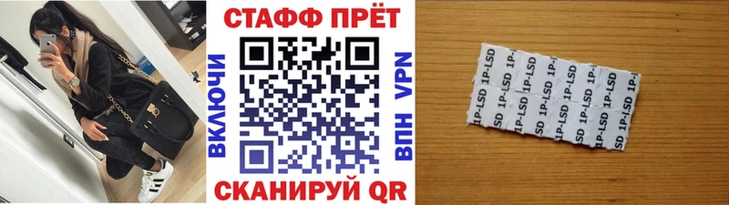 Продажа наркотиков Приморск А ПВП  ГАШ 