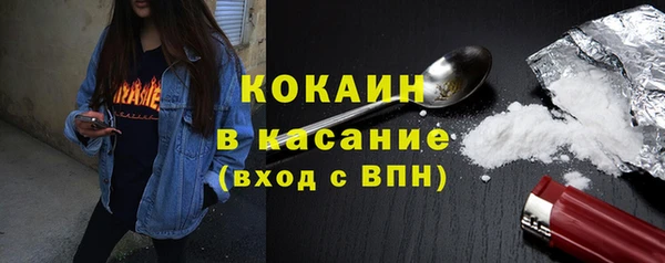 стаф Болхов