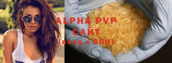 молекула духа Болохово