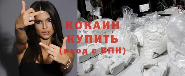 молекула духа Болохово