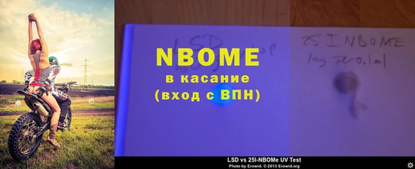 стаф Болхов