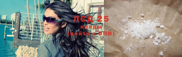 стаф Болхов